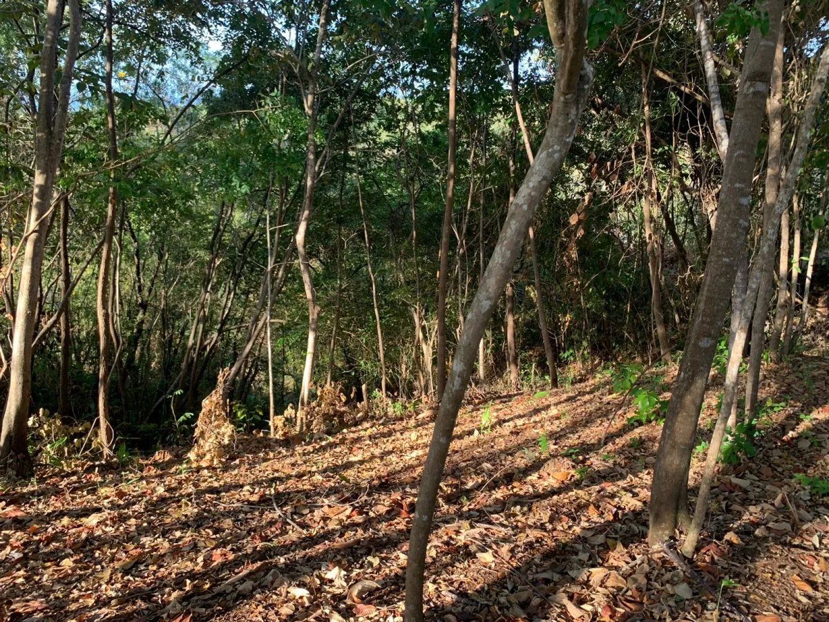PROPERTY FOR SALE IN SANTA CATALINA, VERAGUAS (THE PROPERTY MEASURES 1900 SQUARE METERS).