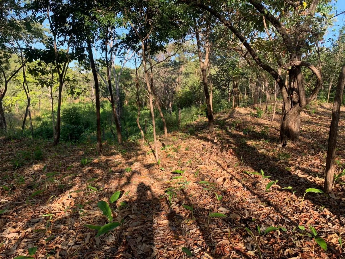PROPERTY FOR SALE IN SANTA CATALINA, VERAGUAS (THE PROPERTY MEASURES 1900 SQUARE METERS).