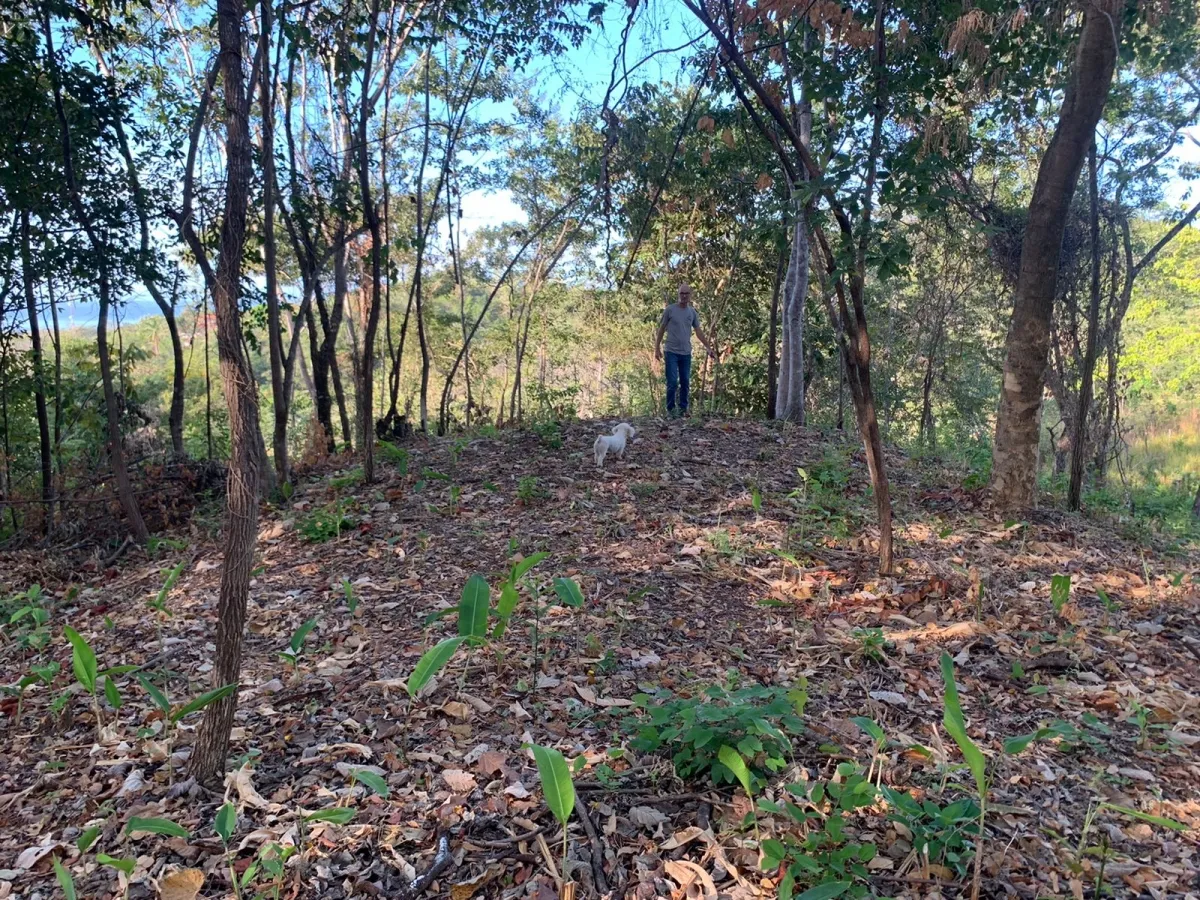 Terreno/Granja en Venta en Santa Catalina