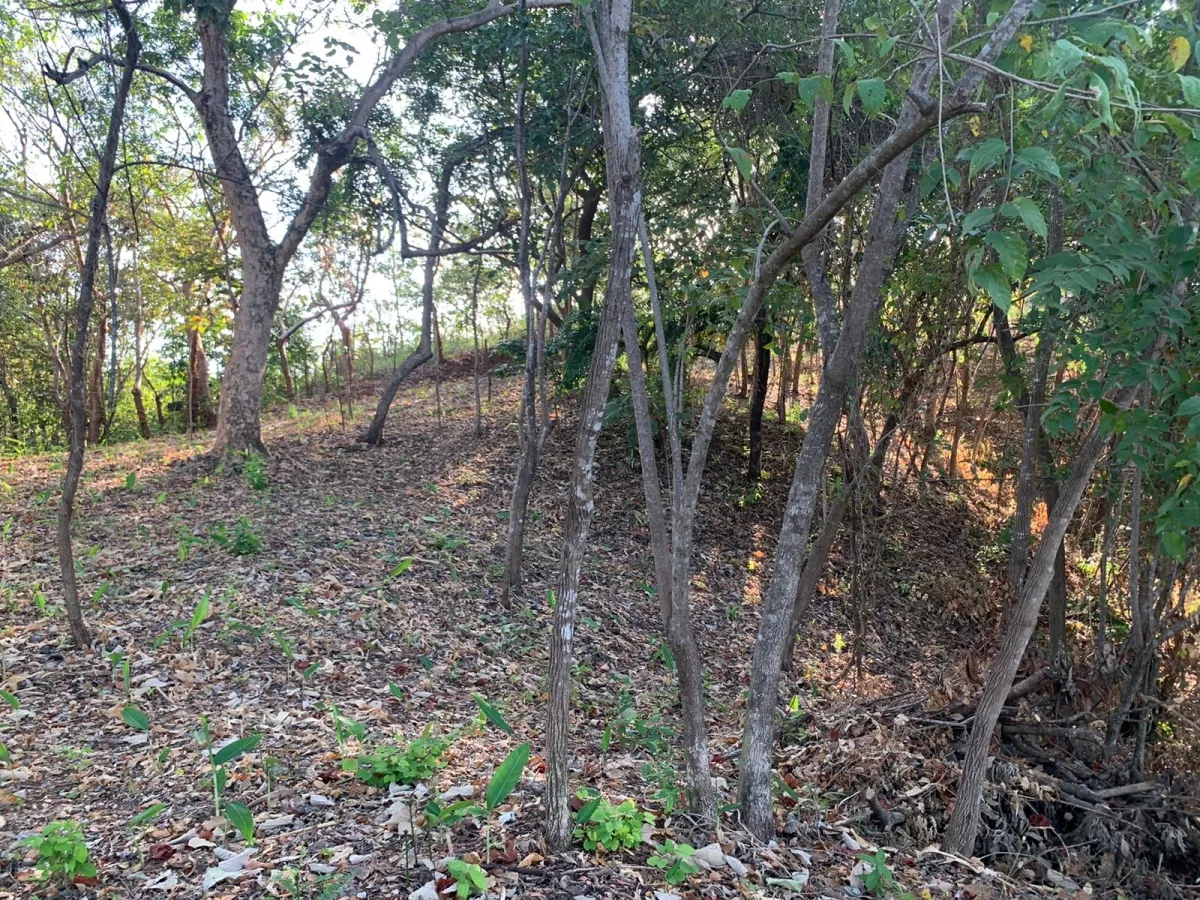Terreno/Granja en Venta en Santa Catalina