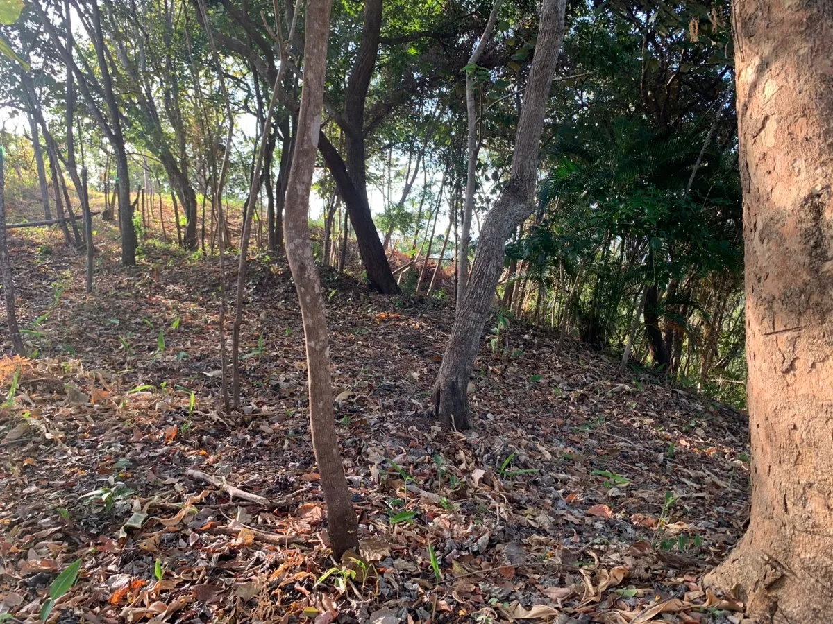 Terreno/Granja en Venta en Santa Catalina