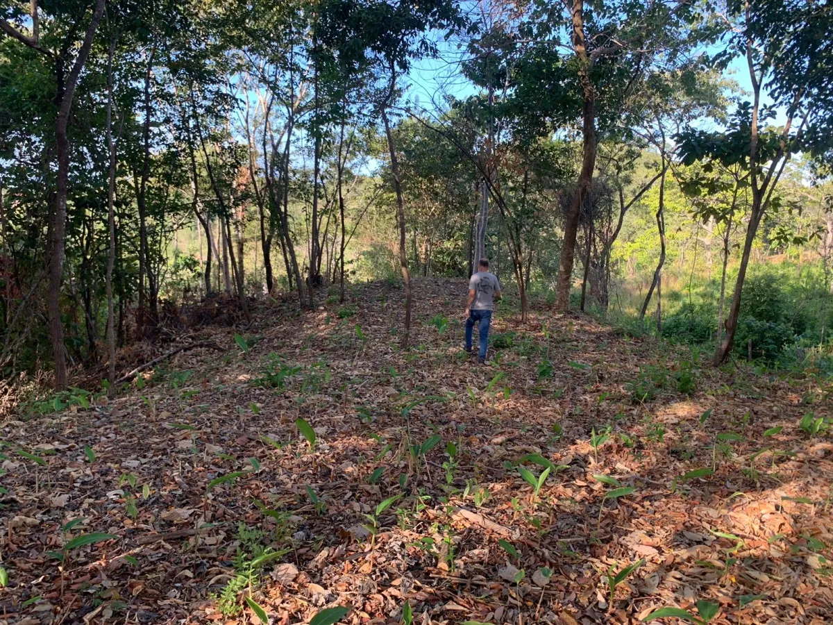 Terreno/Granja en Venta en Santa Catalina