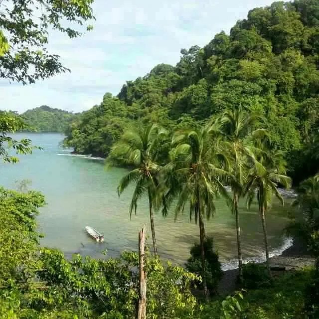 PROPERTY FOR SALE IN PLAYA NARANJITO 14.5 HECTARES (35.83 ACRES), PUER...