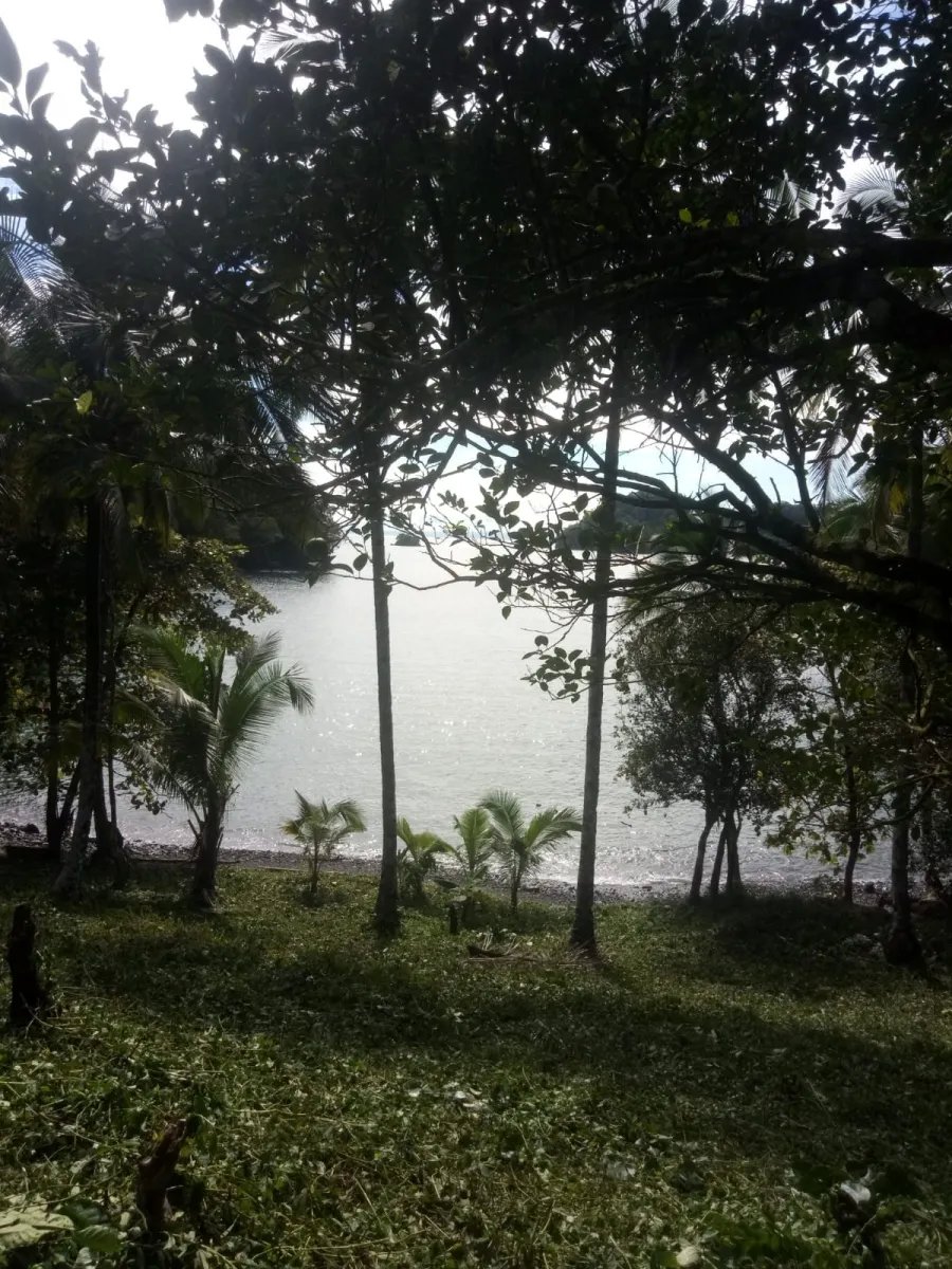 PROPERTY FOR SALE IN PLAYA NARANJITO 14.5 HECTARES (35.83 ACRES), PUERTO ESCONDIDO; NEAR TO THE PLAYA ARRIMADERO, SONÁ