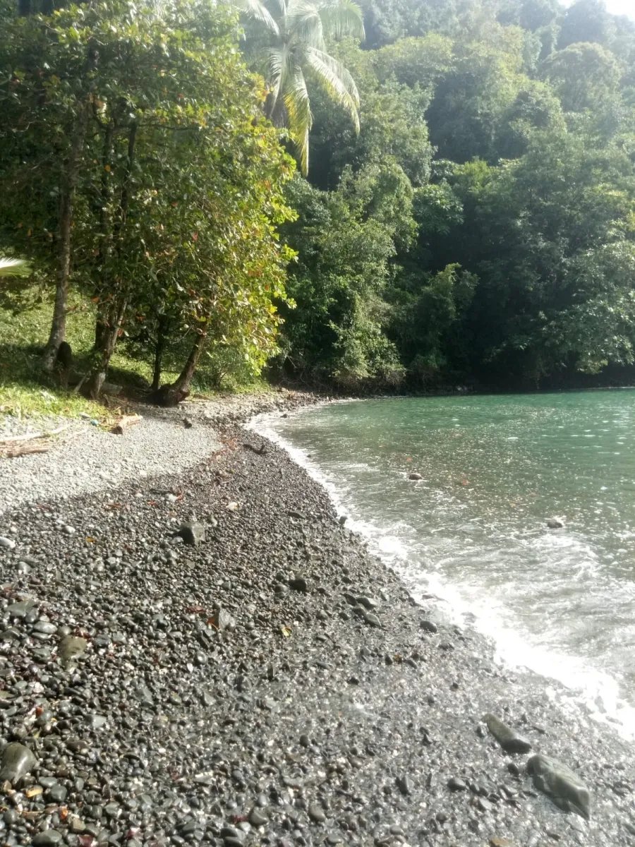 PROPERTY FOR SALE IN PLAYA NARANJITO 14.5 HECTARES (35.83 ACRES), PUERTO ESCONDIDO; NEAR TO THE PLAYA ARRIMADERO, SONÁ
