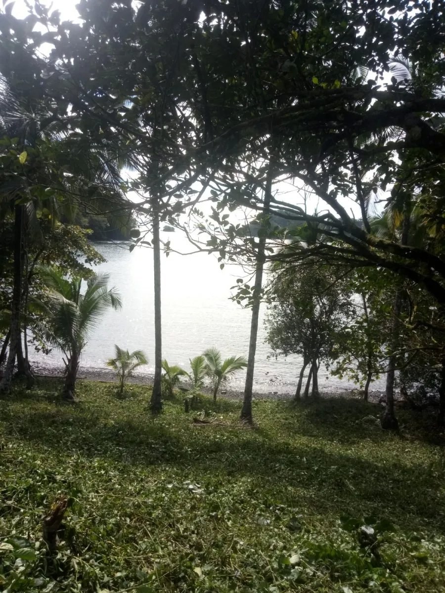 PROPERTY FOR SALE IN PLAYA NARANJITO 14.5 HECTARES (35.83 ACRES), PUERTO ESCONDIDO; NEAR TO THE PLAYA ARRIMADERO, SONÁ