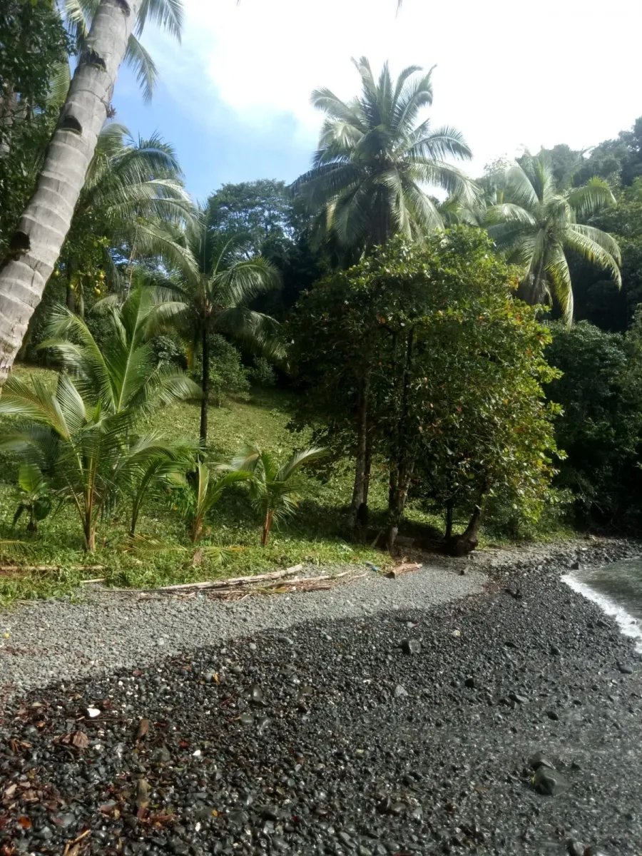 PROPERTY FOR SALE IN PLAYA NARANJITO 14.5 HECTARES (35.83 ACRES), PUERTO ESCONDIDO; NEAR TO THE PLAYA ARRIMADERO, SONÁ