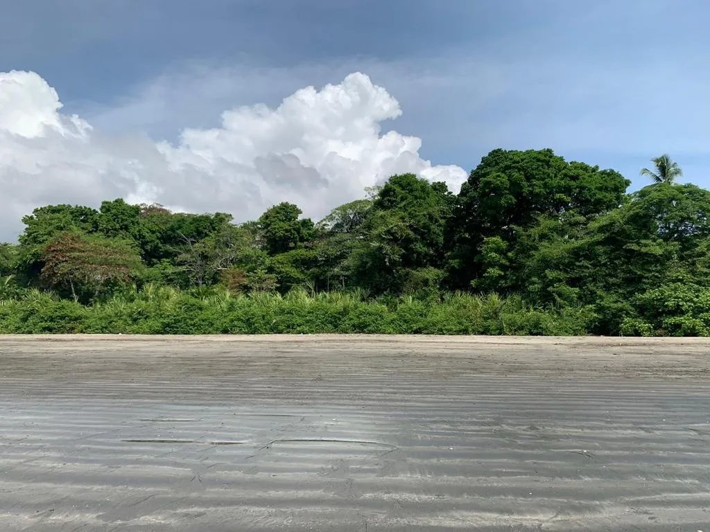 INCREDIBLE 3 HECTARES (7.41 ACRES) OCEAN FRONT PROPERTY FOR SALE, IN S...