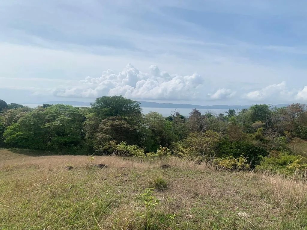 INCREDIBLE 3 HECTARES (7.41 ACRES) OCEAN FRONT PROPERTY FOR SALE, IN S...
