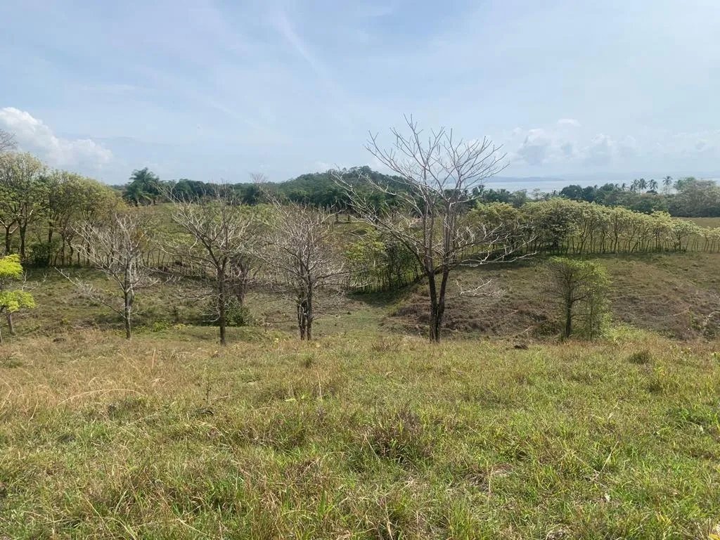 INCREDIBLE 3 HECTARES (7.41 ACRES) OCEAN FRONT PROPERTY FOR SALE, IN S...