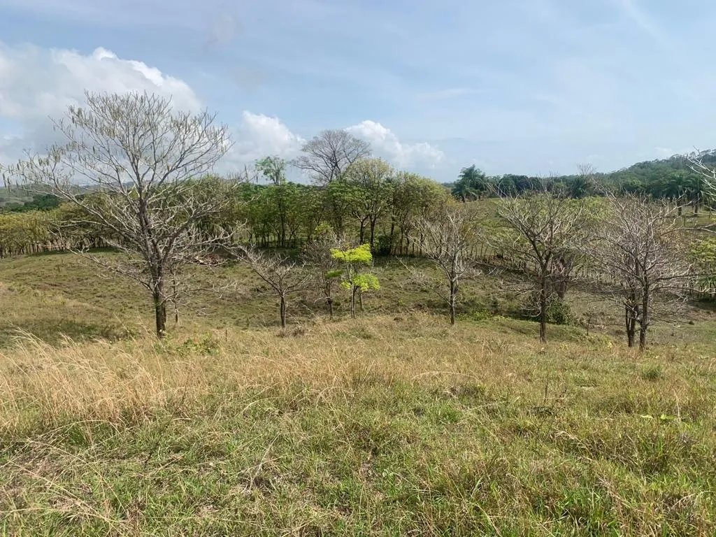INCREDIBLE 3 HECTARES (7.41 ACRES) OCEAN FRONT PROPERTY FOR SALE, IN SANTA CATALINA, VERAGUAS
