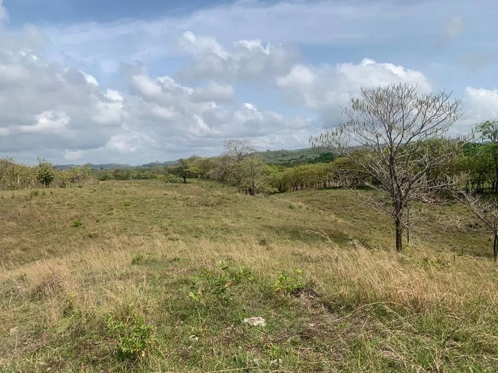 INCREDIBLE 3 HECTARES (7.41 ACRES) OCEAN FRONT PROPERTY FOR SALE, IN SANTA CATALINA, VERAGUAS