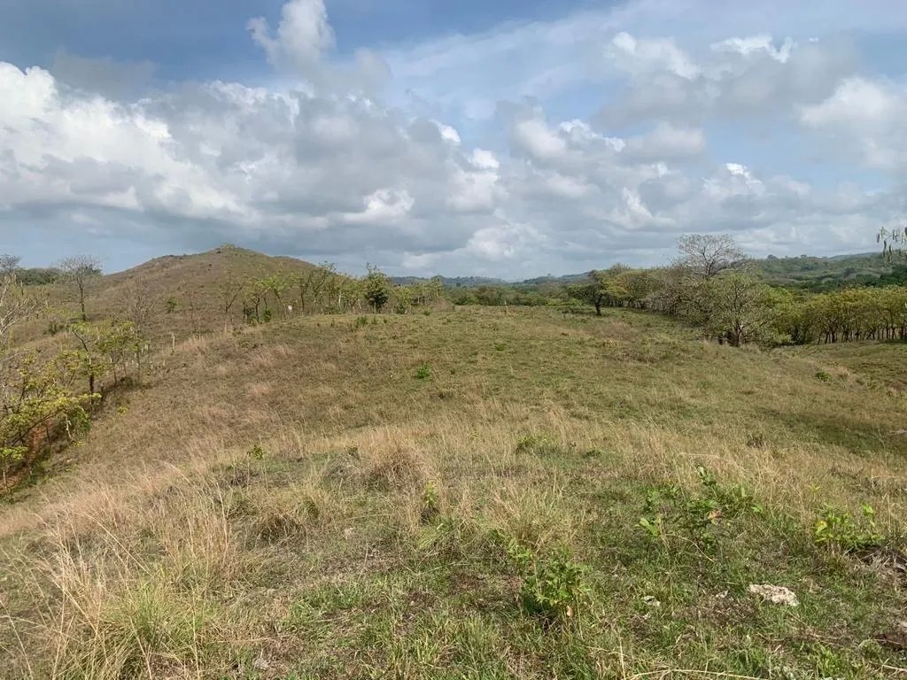 INCREDIBLE 3 HECTARES (7.41 ACRES) OCEAN FRONT PROPERTY FOR SALE, IN SANTA CATALINA, VERAGUAS