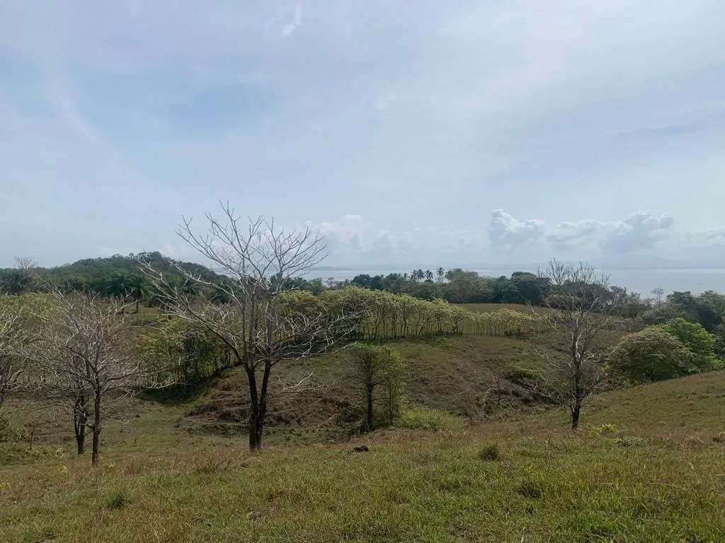 INCREDIBLE 3 HECTARES (7.41 ACRES) OCEAN FRONT PROPERTY FOR SALE, IN SANTA CATALINA, VERAGUAS