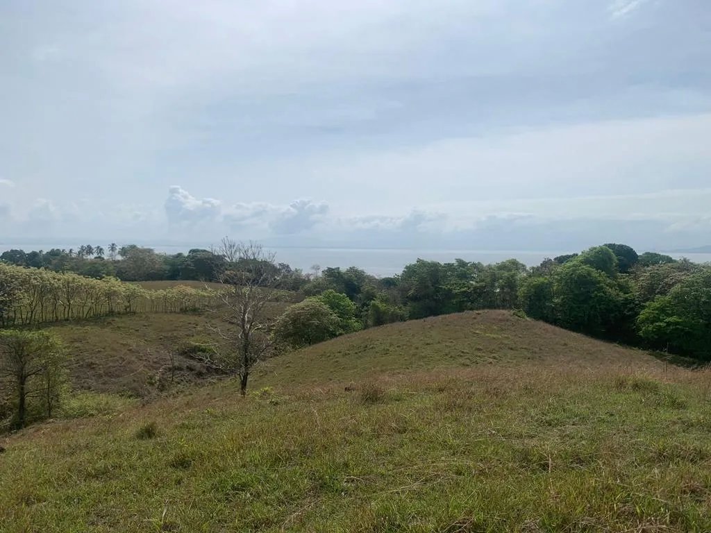 INCREDIBLE 3 HECTARES (7.41 ACRES) OCEAN FRONT PROPERTY FOR SALE, IN SANTA CATALINA, VERAGUAS