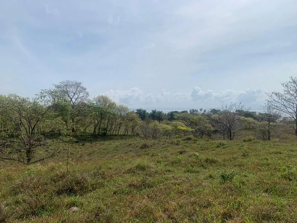 INCREDIBLE 3 HECTARES (7.41 ACRES) OCEAN FRONT PROPERTY FOR SALE, IN SANTA CATALINA, VERAGUAS