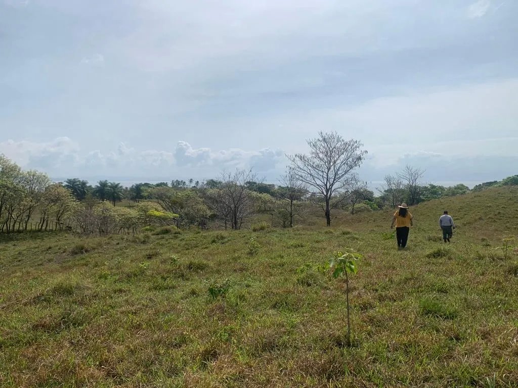 INCREDIBLE 3 HECTARES (7.41 ACRES) OCEAN FRONT PROPERTY FOR SALE, IN SANTA CATALINA, VERAGUAS