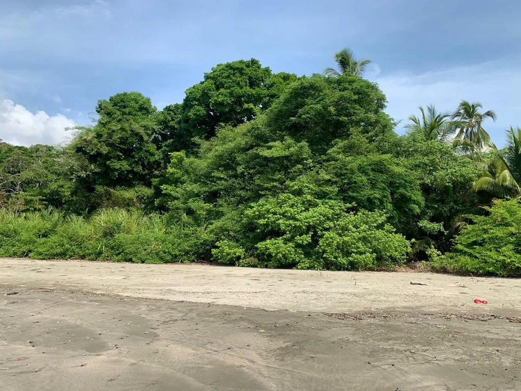 INCREDIBLE 3 HECTARES (7.41 ACRES) OCEAN FRONT PROPERTY FOR SALE, IN SANTA CATALINA, VERAGUAS