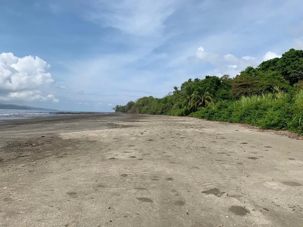 INCREDIBLE 3 HECTARES (7.41 ACRES) OCEAN FRONT PROPERTY FOR SALE, IN SANTA CATALINA, VERAGUAS