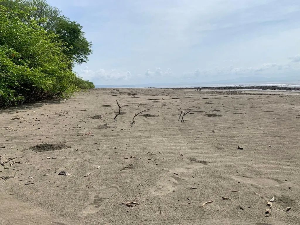INCREDIBLE 3 HECTARES (7.41 ACRES) OCEAN FRONT PROPERTY FOR SALE, IN SANTA CATALINA, VERAGUAS