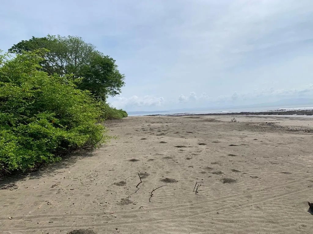 INCREDIBLE 3 HECTARES (7.41 ACRES) OCEAN FRONT PROPERTY FOR SALE, IN SANTA CATALINA, VERAGUAS
