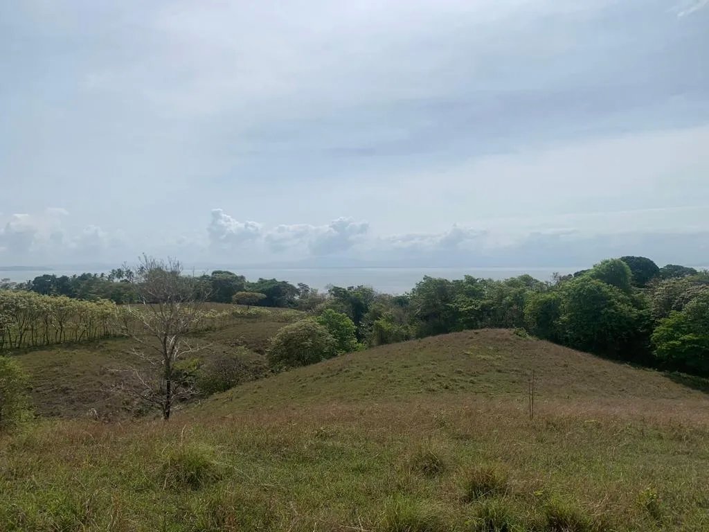 INCREDIBLE 3 HECTARES (7.41 ACRES) OCEAN FRONT PROPERTY FOR SALE, IN SANTA CATALINA, VERAGUAS