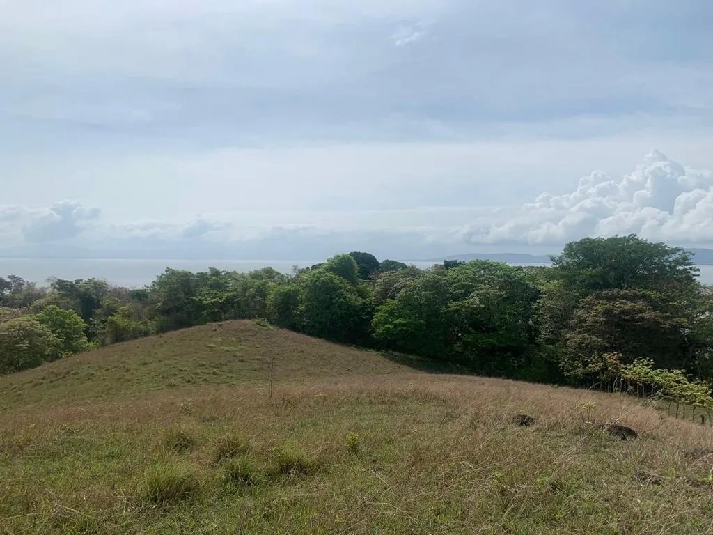 INCREDIBLE 3 HECTARES (7.41 ACRES) OCEAN FRONT PROPERTY FOR SALE, IN SANTA CATALINA, VERAGUAS