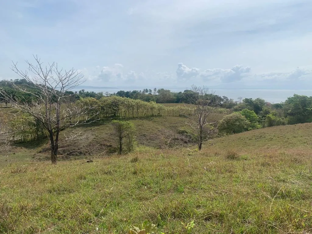 INCREIBLE PROPIEDAD DE 3 HECTAREAS (7.41 ACRES) FRENTE AL MAR EN VENTA...