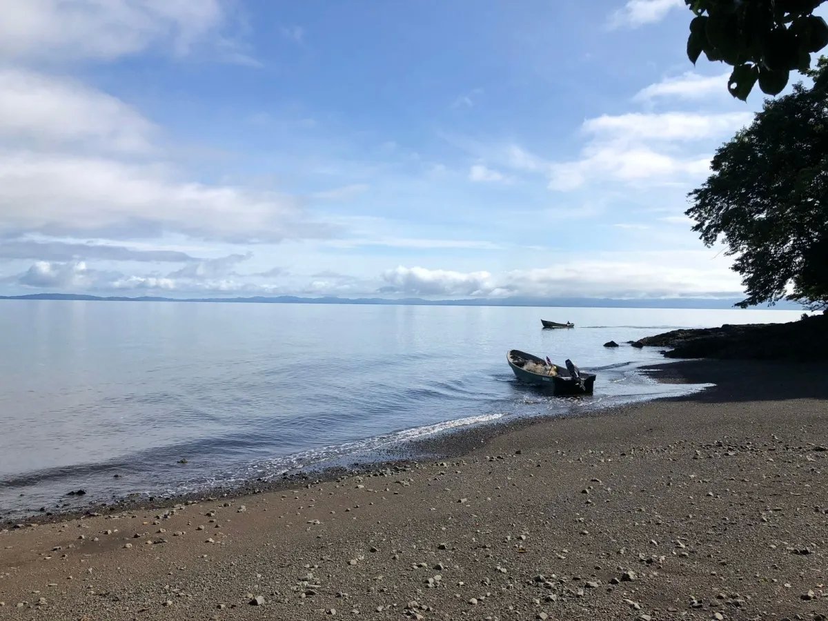 PROPERTY FOR SALE IN ISLA GOBERNADORA, VERAGUAS. 1.2 HECTARES (2.96 AC...