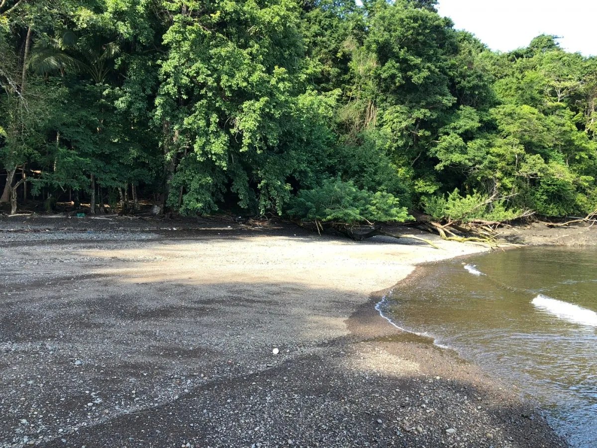 PROPERTY FOR SALE IN ISLA GOBERNADORA, VERAGUAS. 1.2 HECTARES (2.96 AC...