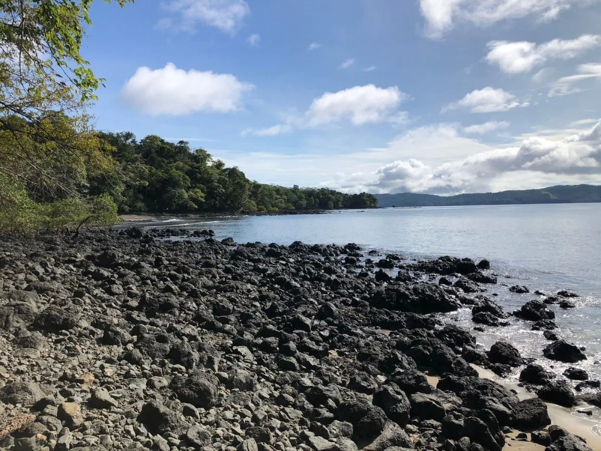 PROPERTY FOR SALE IN ISLA GOBERNADORA, VERAGUAS. 1.2 HECTARES (2.96 ACRES). OCEAN FRONT PROPERTY