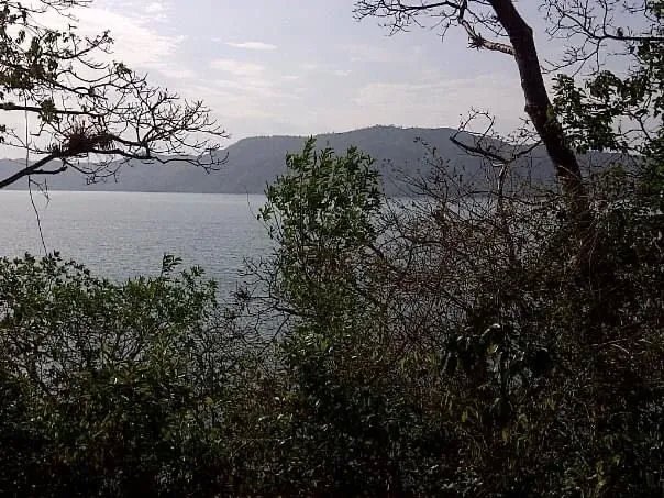 PROPERTY FOR SALE IN ISLA GOBERNADORA, VERAGUAS. 1.2 HECTARES (2.96 ACRES). OCEAN FRONT PROPERTY