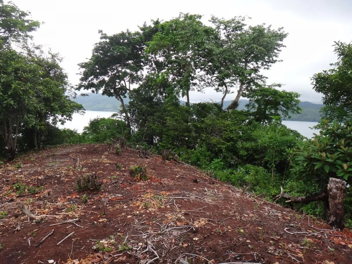 PROPERTY FOR SALE IN ISLA GOBERNADORA, VERAGUAS. 1.2 HECTARES (2.96 ACRES). OCEAN FRONT PROPERTY