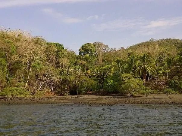 PROPERTY FOR SALE IN ISLA GOBERNADORA, VERAGUAS. 1.2 HECTARES (2.96 ACRES). OCEAN FRONT PROPERTY