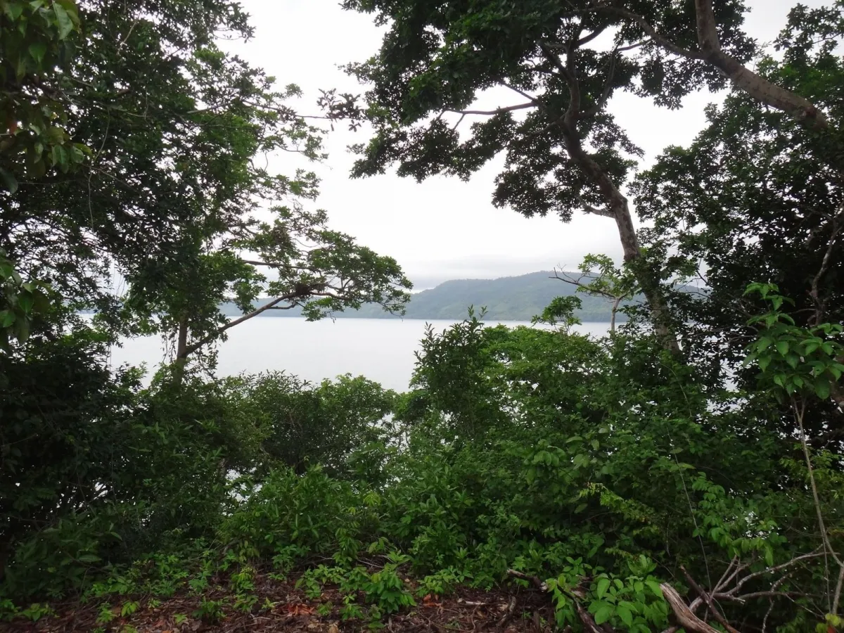PROPIEDAD EN VENTA EN ISLA GOBERNADORA, VERAGUAS. 1,2 HECTÁREAS (2,96 ...