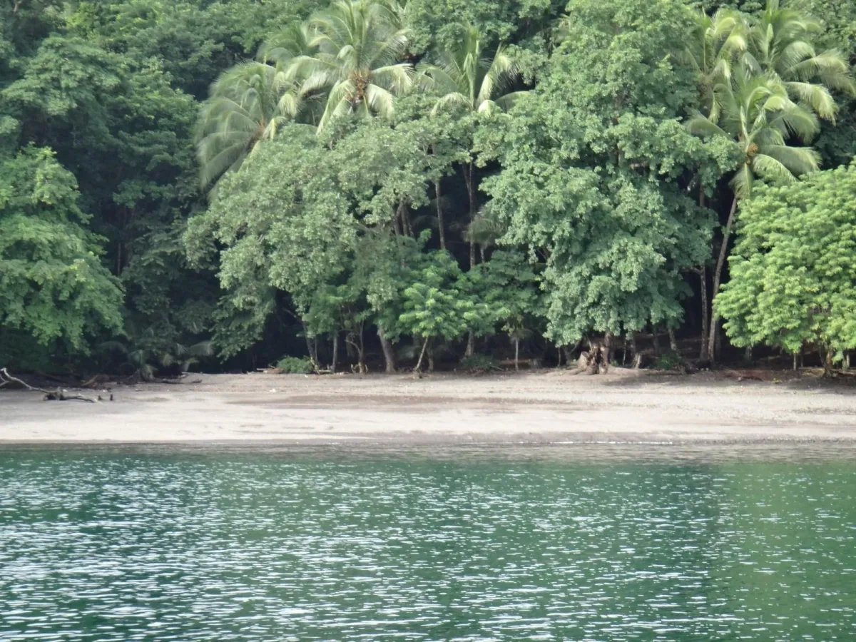PROPERTY FOR SALE IN ISLA GOBERNADORA, VERAGUAS. 2.5 HECTARES (6.17 AC...