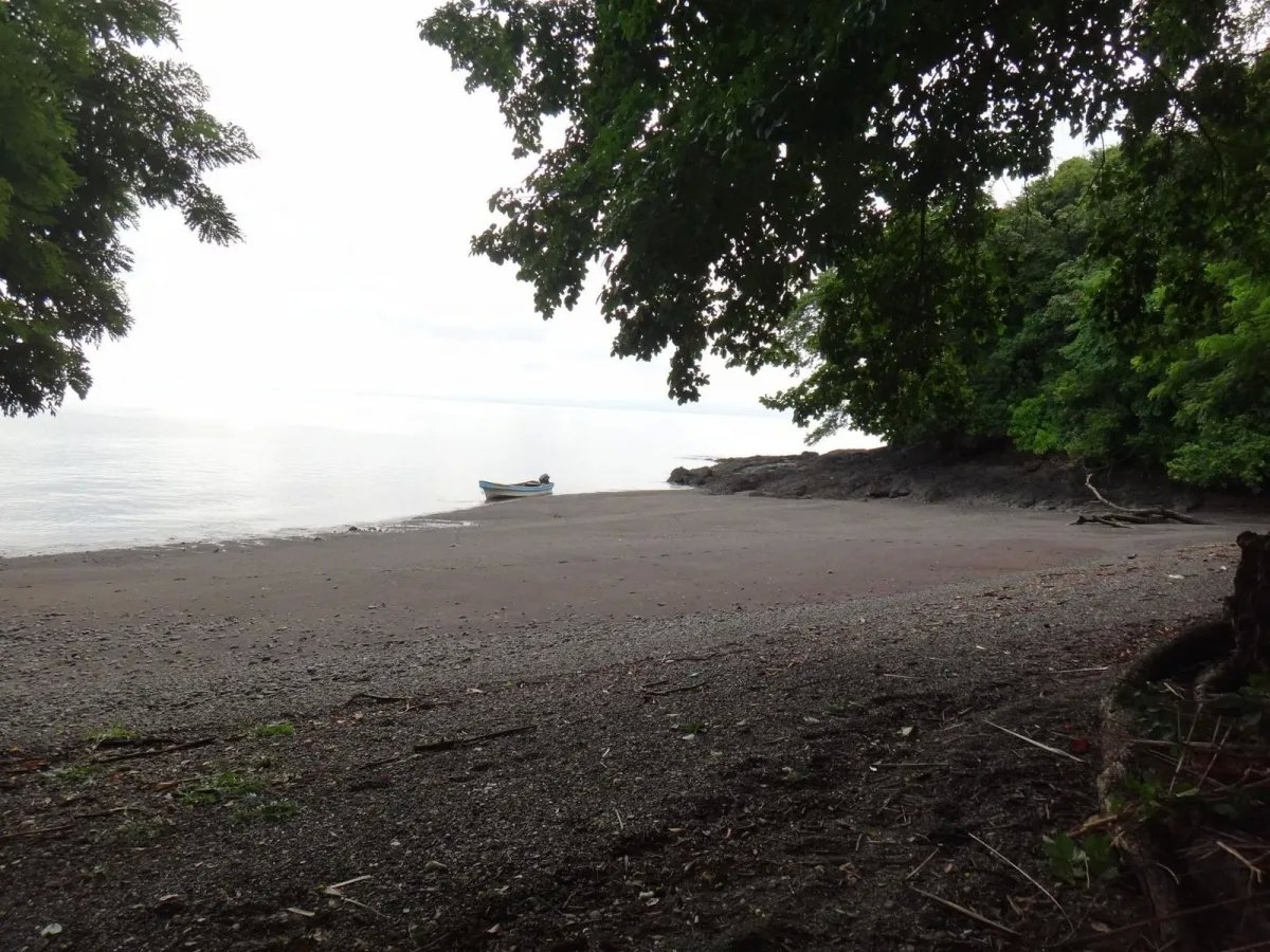 PROPERTY FOR SALE IN ISLA GOBERNADORA, VERAGUAS. 2.5 HECTARES (6.17 AC...