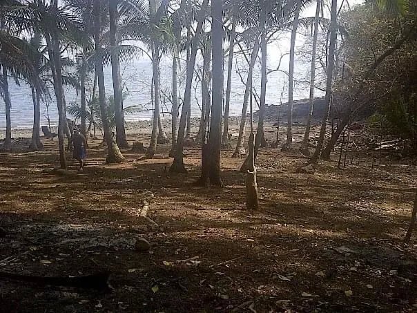 PROPERTY FOR SALE IN ISLA GOBERNADORA, VERAGUAS. 2.5 HECTARES (6.17 AC...