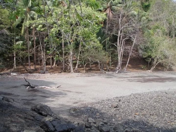 PROPERTY FOR SALE IN ISLA GOBERNADORA, VERAGUAS. 2.5 HECTARES (6.17 ACRES). OCEAN FRONT PROPERTY