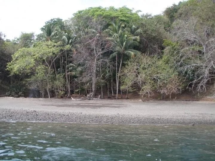 PROPERTY FOR SALE IN ISLA GOBERNADORA, VERAGUAS. 2.5 HECTARES (6.17 ACRES). OCEAN FRONT PROPERTY