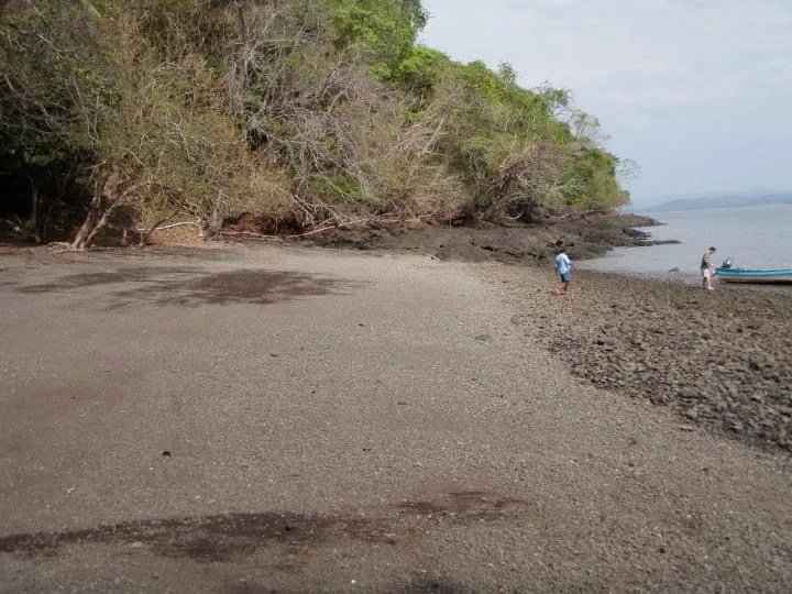 PROPERTY FOR SALE IN ISLA GOBERNADORA, VERAGUAS. 2.5 HECTARES (6.17 ACRES). OCEAN FRONT PROPERTY