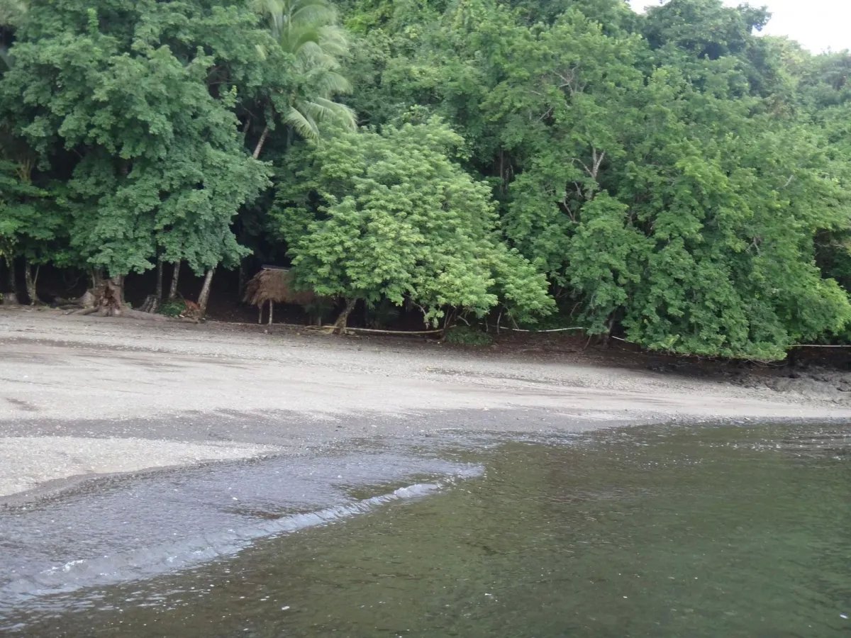 PROPERTY FOR SALE IN ISLA GOBERNADORA, VERAGUAS. 2.5 HECTARES (6.17 ACRES). OCEAN FRONT PROPERTY