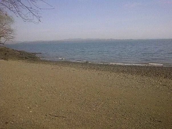 PROPERTY FOR SALE IN ISLA GOBERNADORA, VERAGUAS. 2.5 HECTARES (6.17 ACRES). OCEAN FRONT PROPERTY