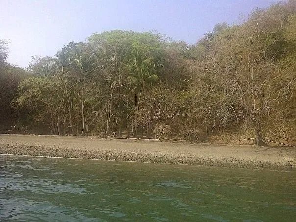 PROPERTY FOR SALE IN ISLA GOBERNADORA, VERAGUAS. 2.5 HECTARES (6.17 ACRES). OCEAN FRONT PROPERTY