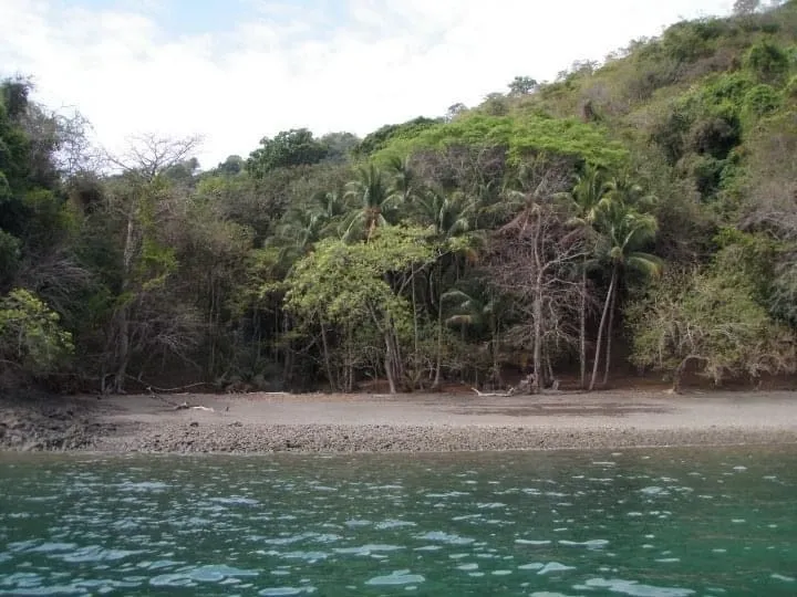 PROPIEDAD EN VENTA EN ISLA GOBERNADORA, VERAGUAS. 2.5 HECTÁREAS (6.17 ...