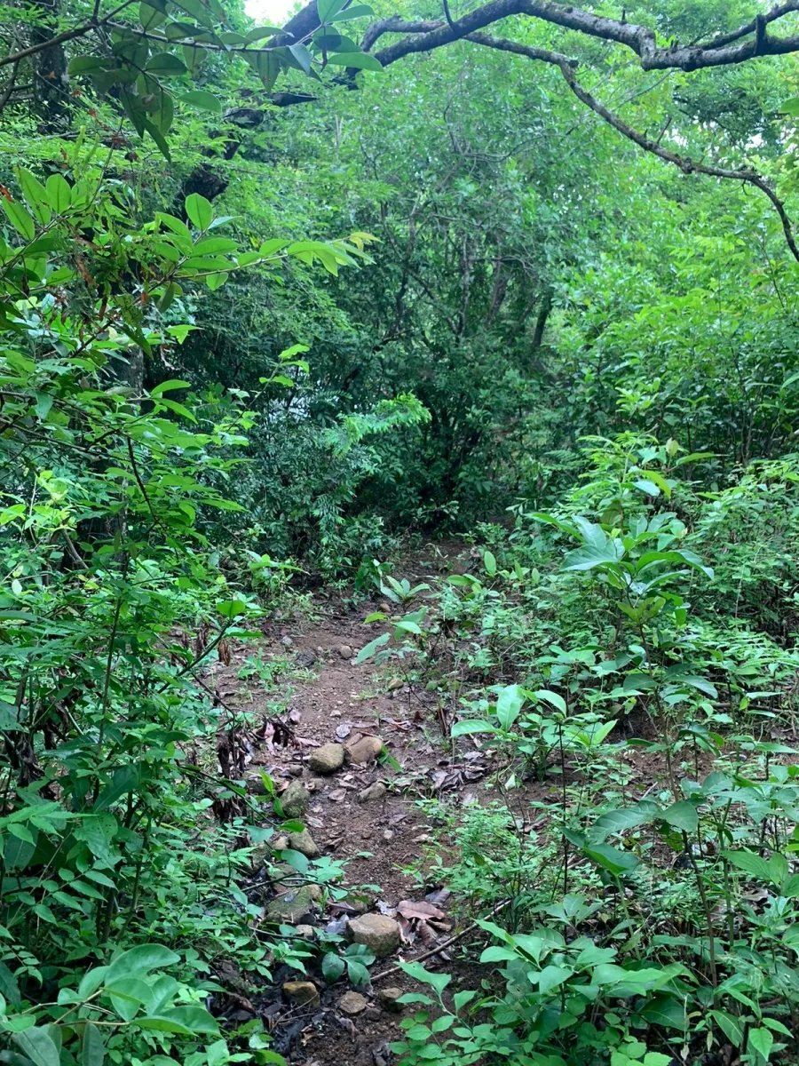 PROPERTY FOR SALE IN SANTA FE, VERAGUAS. 39 HECTARES (96.37 ACRES).