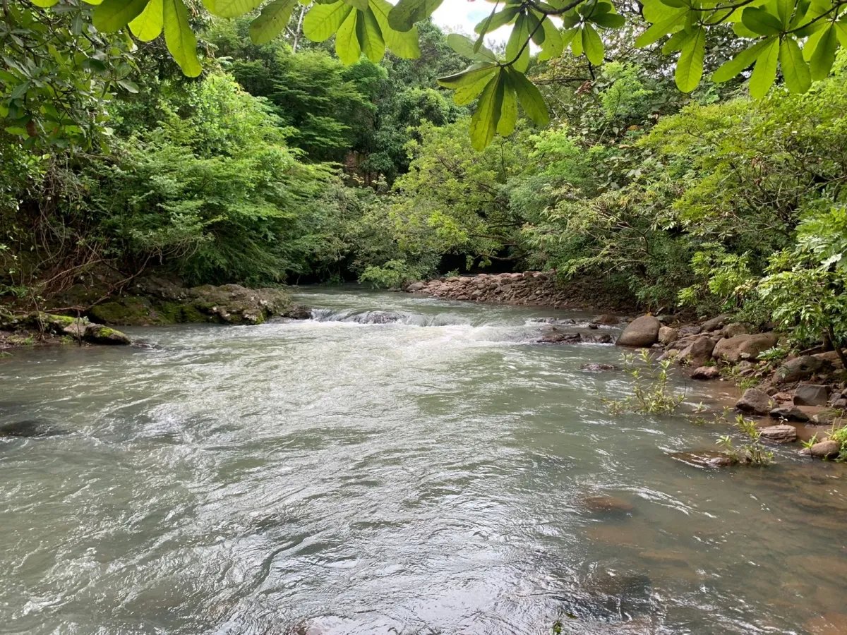 PROPERTY FOR SALE IN SANTA FE, VERAGUAS. 39 HECTARES (96.37 ACRES).