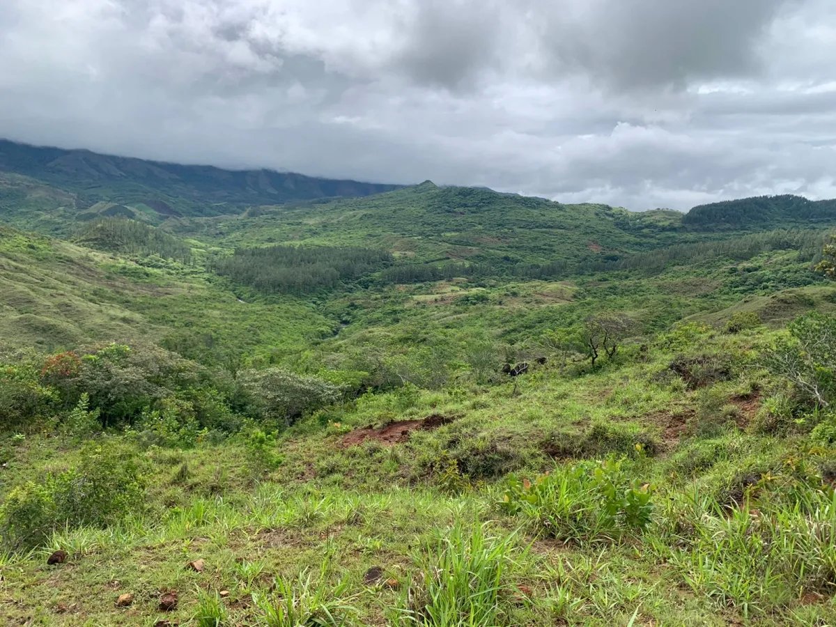 PROPERTY FOR SALE IN SANTA FE, VERAGUAS. 39 HECTARES (96.37 ACRES).