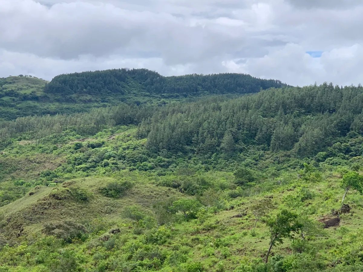 PROPERTY FOR SALE IN SANTA FE, VERAGUAS. 39 HECTARES (96.37 ACRES).