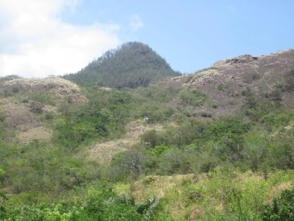 PROPERTY FOR SALE IN SANTA FE, VERAGUAS. 39 HECTARES (96.37 ACRES).